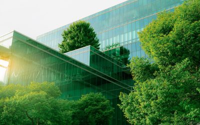 How Green Building Impacts the Windows and Doors Industry
